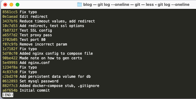 Git for Beginners