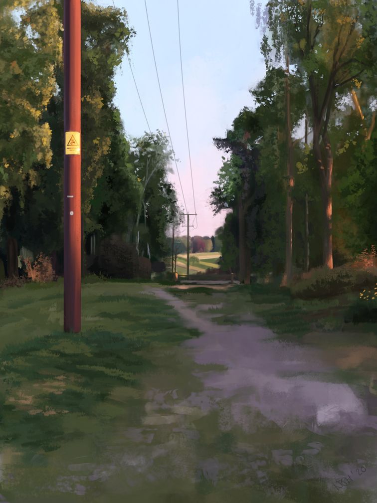Summer Landscape